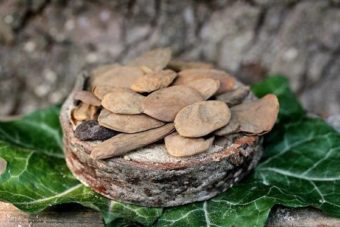 Akuamma Capsules 1.5 oz.