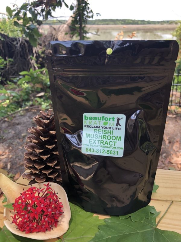 Reishi Mushroom Extract - Image 2