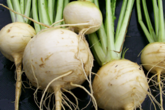 Maca Root