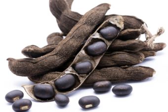Mucuna Pruriens Extract (Cowhage)