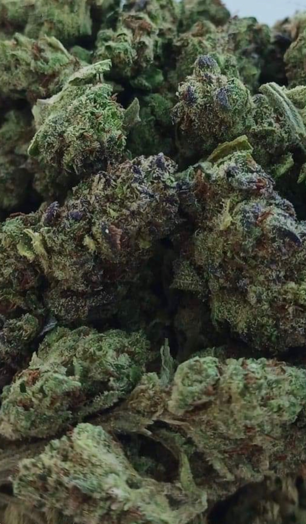 THC-A Flower - Ice Cream Cake - 3.5g. - Image 2