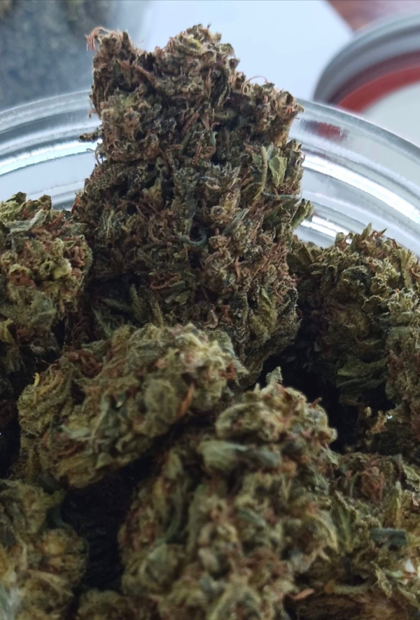 THC-A Flower - Purple Punch - 3.5g. - Image 2