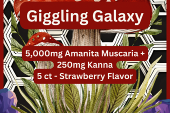 Giggling Galaxy 5,000mg Amanita + 250mg Kanna 5pk