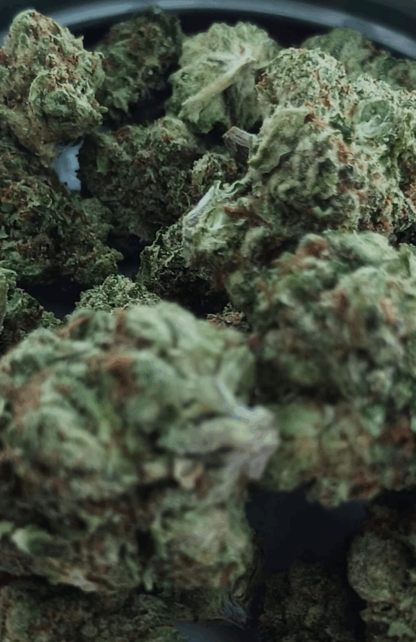 THC-A Flower - Gelato 45 - 3.5g. - Image 2