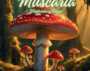 Proprietary Mushroom Gummy - 15pk