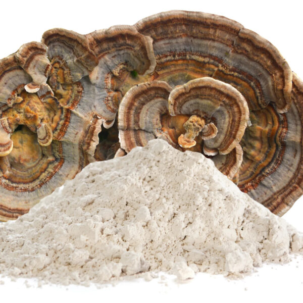 Organics Turkey Tail Powder 100 gram
