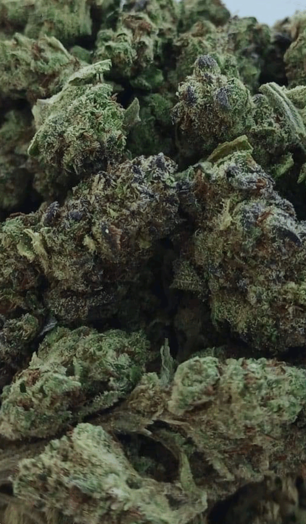 THC-A Flower - Ice Cream Cake - 1g. - Image 2